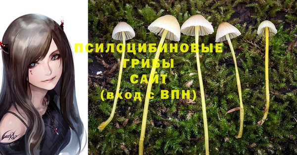 PSILOCYBIN Белокуриха